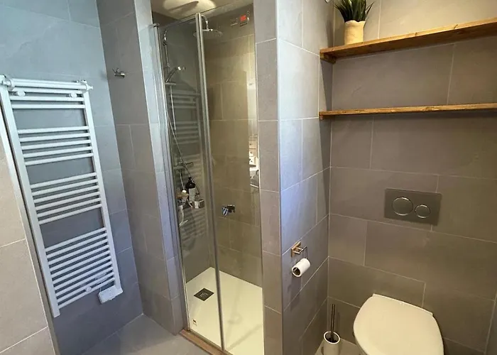 Violette De Cham - Jardin Prive - Vue Mont Blanc * Chamonix