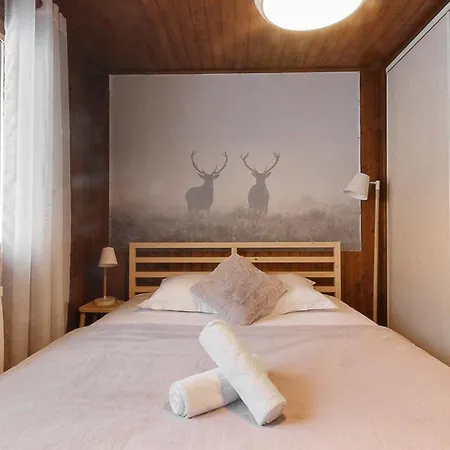 Apartamento Les Fleurs De Cham étage Principal Chamonix Mont Blanc